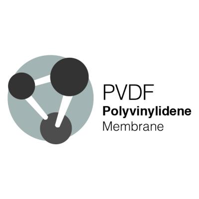 Poliviniliden Florür (PVDF) Hidrofilik Membran